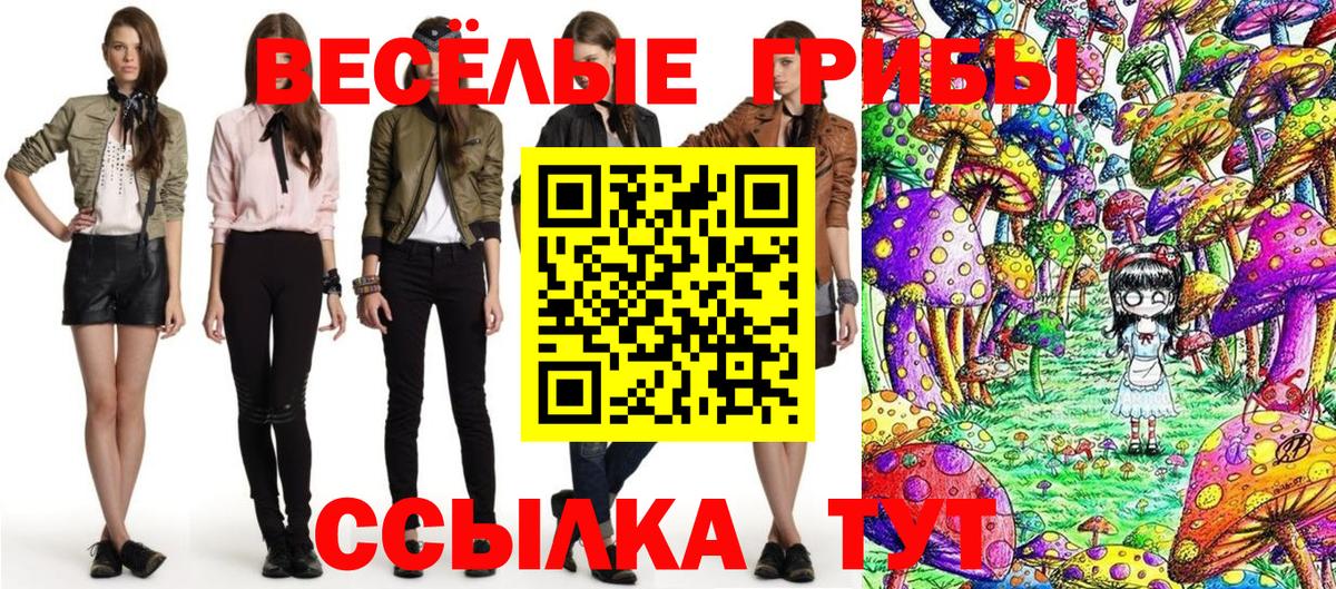 Псилоцибиновые грибы Psilocybine cubensis Бутурлиновка