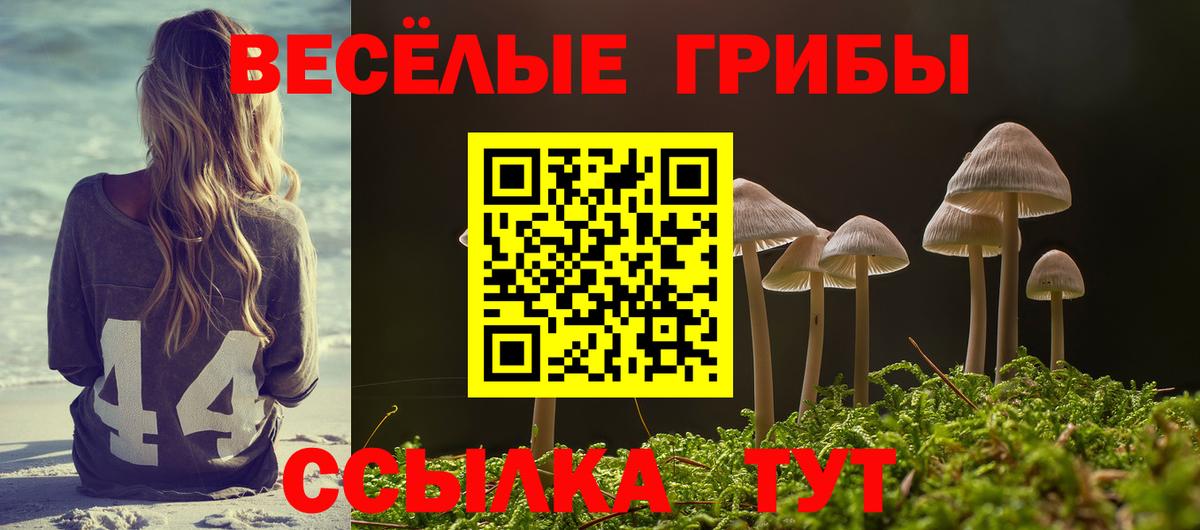 Галлюциногенные грибы Psilocybe  Вход с VPN  хочу   Галлюциногенные грибы прущие грибы  Бутурлиновка 